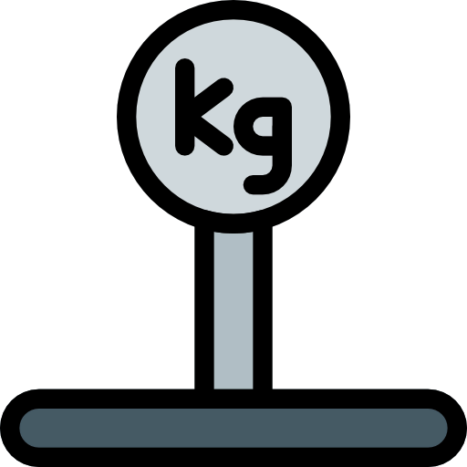 Scale icon