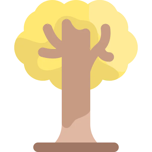 Tree 상