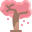 Sakura icon 64x64