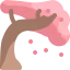 Sakura icon 64x64