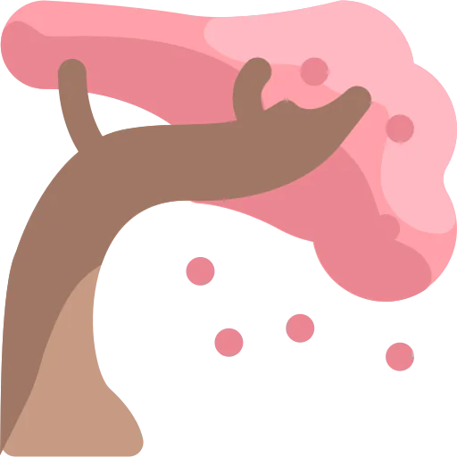 Sakura icon