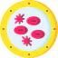 Blood cells icon 64x64