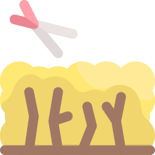 Shrub icon
