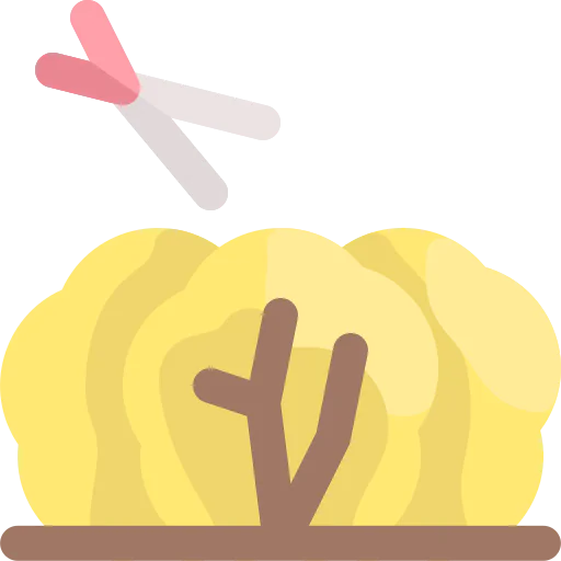 Shrub icon