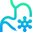 Intestine icon 64x64