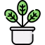 Plant icon 64x64