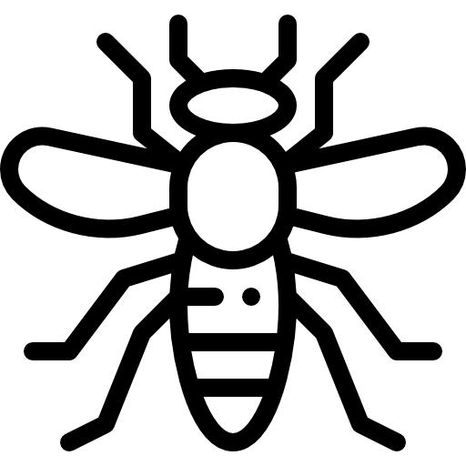 Insect Ikona