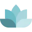 Lotus icon 64x64