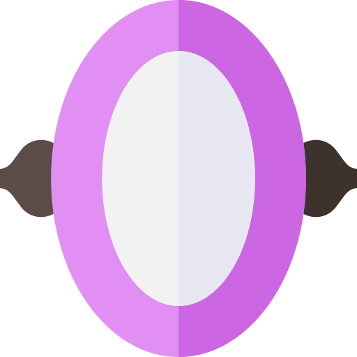Mirror icon