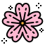 Sakura アイコン 64x64