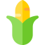 Corn icon 64x64