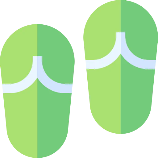 Flip flops icon