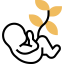 Embryo icon 64x64
