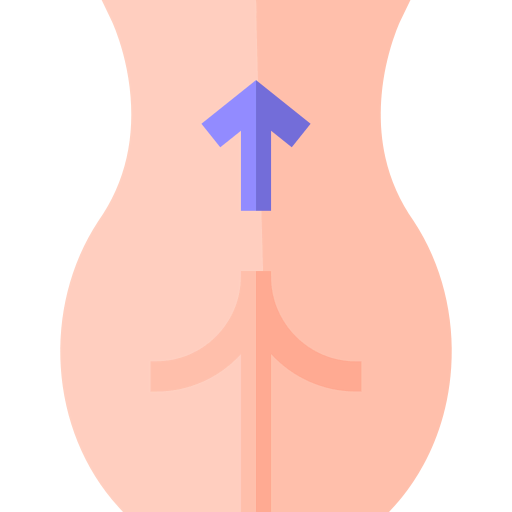 Lifting icon