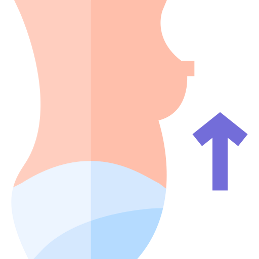 Breasts icon