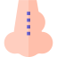 Rhinoplasty icon 64x64