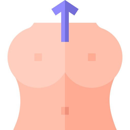 Breasts icon