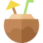 Coconut drink icon 64x64