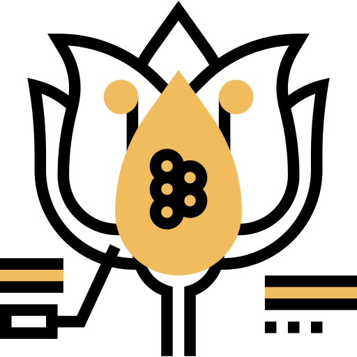 Ovule icon