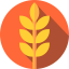 Wheat icon 64x64
