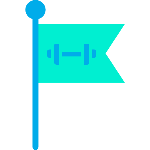 Flag icon