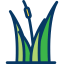 Grass icon 64x64
