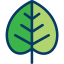 Leaf icon 64x64