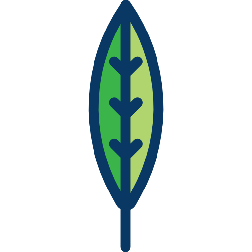 Leaf icon