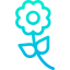 Flower icon 64x64