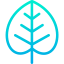 Leaf icon 64x64