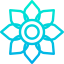 Flower icon 64x64