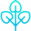 Leaf icon 64x64