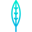 Leaf icon 64x64