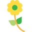 Flower icon 64x64