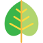 Leaf icon 64x64