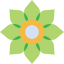 Flower icon 64x64