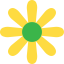 Flower icon 64x64