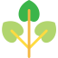 Leaf icon 64x64