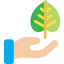 Leaf icon 64x64