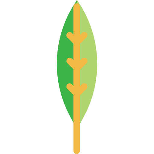 Leaf icon