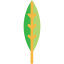 Leaf icon 64x64