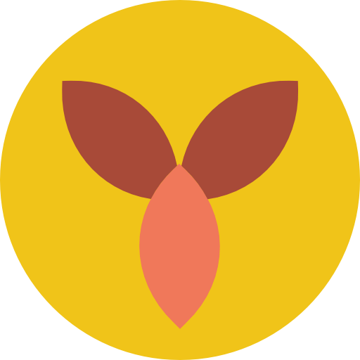 Rune icon