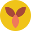 Rune icon 64x64