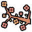Flower icon 64x64