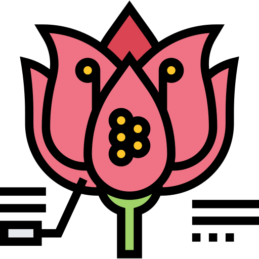 Ovule icon