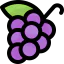 Grape icon 64x64