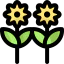 Sunflowers icon 64x64