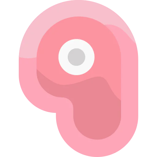 Meat icon