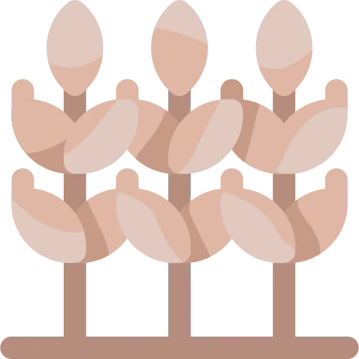 Wheat icon