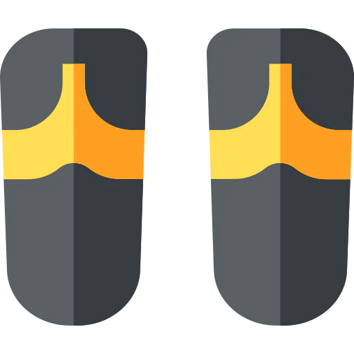 Flip flops icon